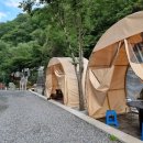 수피아호스텔 이미지