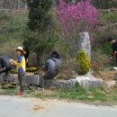 고삼면사무소 이미지