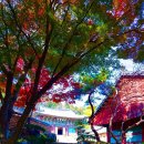 세상살이 | 알 수 없는 세상살이, 운명, 그리고 꿈.