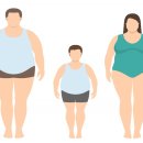 101퍼센트짐 이미지