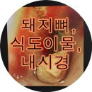 이리온 동물메디컬센터 이미지