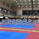 신-코리아태권도 이미지