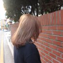 메종드라피네 이미지