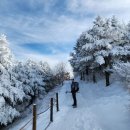 12/30(월) 지리산 바래봉 눈꽃산행 이미지