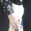 골프신지환 이미지