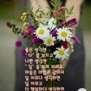 좋은생각 이미지