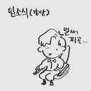 20241126 ~ 20241128(간부동미참훈련 2년차 후기)