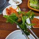 시골약초가게 | [안양맛집]안양예술공원 약초명가 (미나리삼겹살)