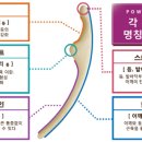 브룸트리