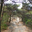 마포-현장-마포-1506 | 서울 도심의 우백호를 거닐다. 인왕산 나들이 (인왕산길, 한양도성, 치마바위, 기차바위, 옥동약수터)