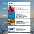 전담마크 - 원주시 | 세부 가족여행 자유여행 호핑투어 추천ㅣ더마크 크루즈 성공 후기