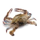 롯데마트광복점 이미지