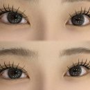 알리에 뷰티 | 신림역속눈썹 연장, 알리에뷰티 방문 후기