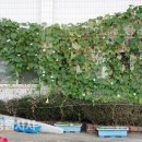 이평면사무소 이미지