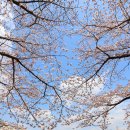 연지공원 이미지