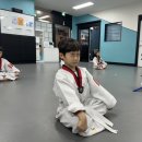 숲소리 유치원 | 지축동 숲소리유치원, 운동이 유치부 뇌발달에 도움된다는 사실 아시나요? [천명태권도]