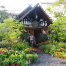 타샤의 정원 이미지