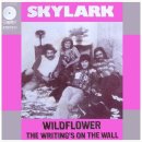 SKYLARK - WILDFLOWER 💓 Song Of Behind Story 이미지