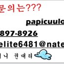 엘리트광고 이미지