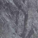 이영미술관 이미지