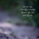 잘해줄게 이미지