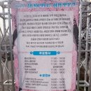 하나공영(주) | 충주 하방마을 벚꽃축제 후기(충주역 하방마을 공영주차장 무료)