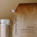마마포레스트