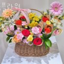 소봄 이미지