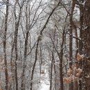 등너머약수터 이미지