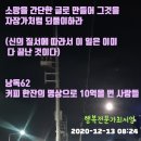 셀리치