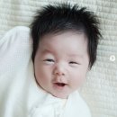 심형탁 카카오 검색결과