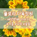 플로라다육정원