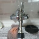 산호동010 이미지