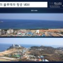 더블루테라 이미지