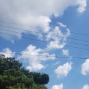 정원식당 이미지