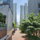 구갈지구대 사거리(더��) 이미지