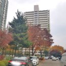 산본우리약국 이미지