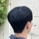뉴미스페셜 네이버블로그