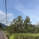 평사리의 그집 이미지