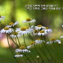 믿음 - 세종특별자치시 보통1길 124 | 믿음