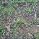 영월 동강오토캠핑장 이미지