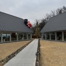 메이데이 | (경기/여주) 애견동반 룸이 있는 여주 메이데이 강추 N번째 방문후기