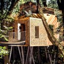 트리하우스 이미지