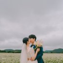 코지스트