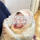 홍금동물병원 | 동탄제일병원 제왕절개 4박 5일 입원 1~3일차 후기
