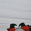 장암교 화장실 이미지