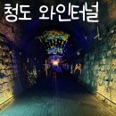 와인터널주차장 | 청도와인터널 주차장 입장료 청도여행 후기