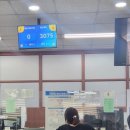 YOLO여행사욜로 이미지