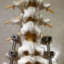 건강체형교실 이미지