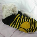 늘행복한농장 이미지